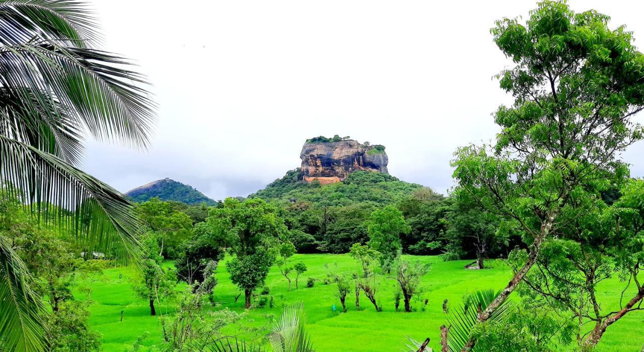 Lakmini Lodge Sigiriya Dış mekan fotoğraf